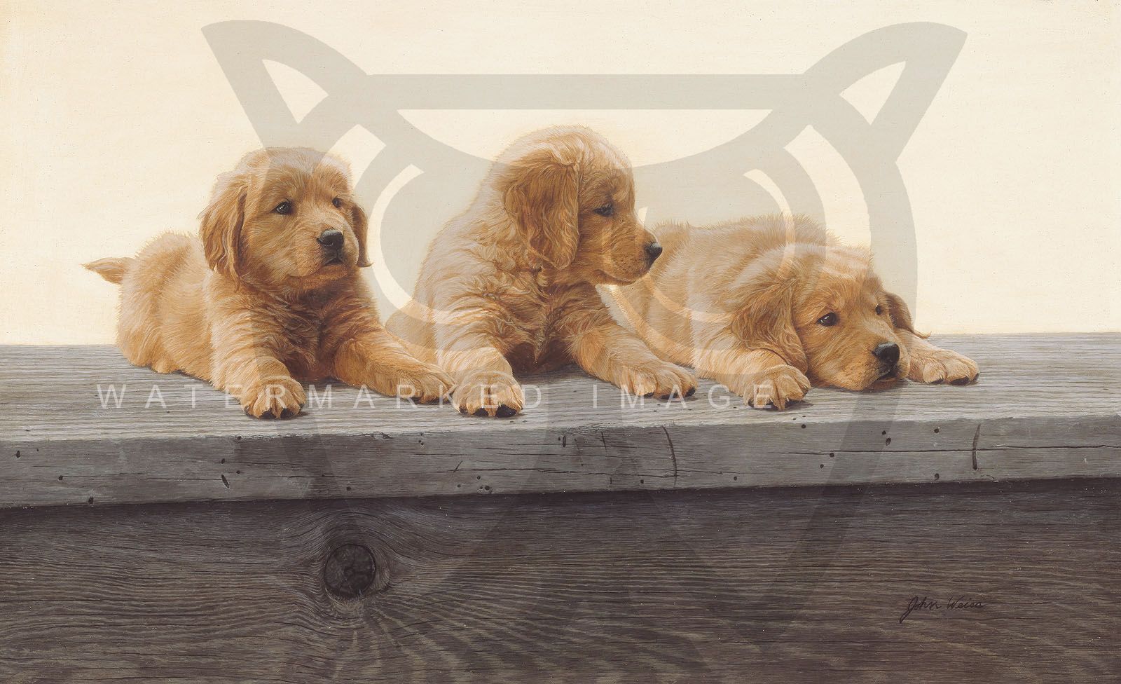 John Weiss Golden Retriever Puppies Anniversary Giclee Canvas Dogs