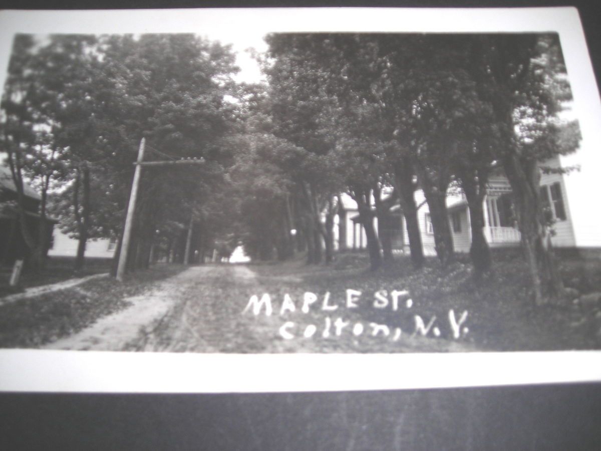  Colton NY Maple Street Real Photo