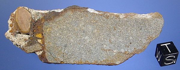 figure 6 slice of conglomerate showing showing a large el3