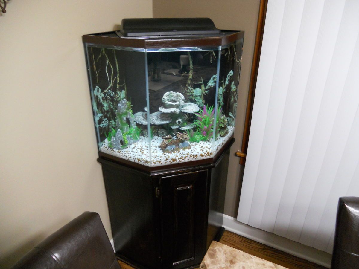  44 Gallon Corner Aquarium Fish Tank