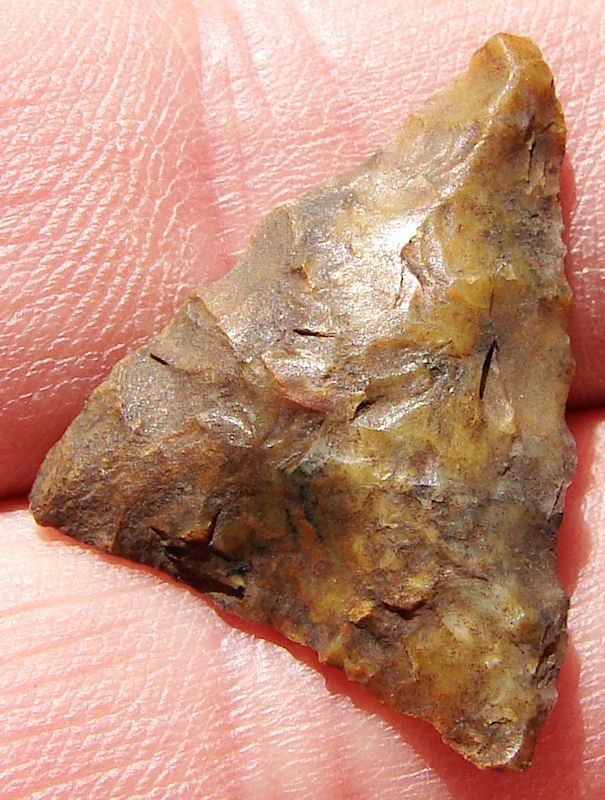 Arrowhead Columbia River Agate Cottonwood Triangle DB 928