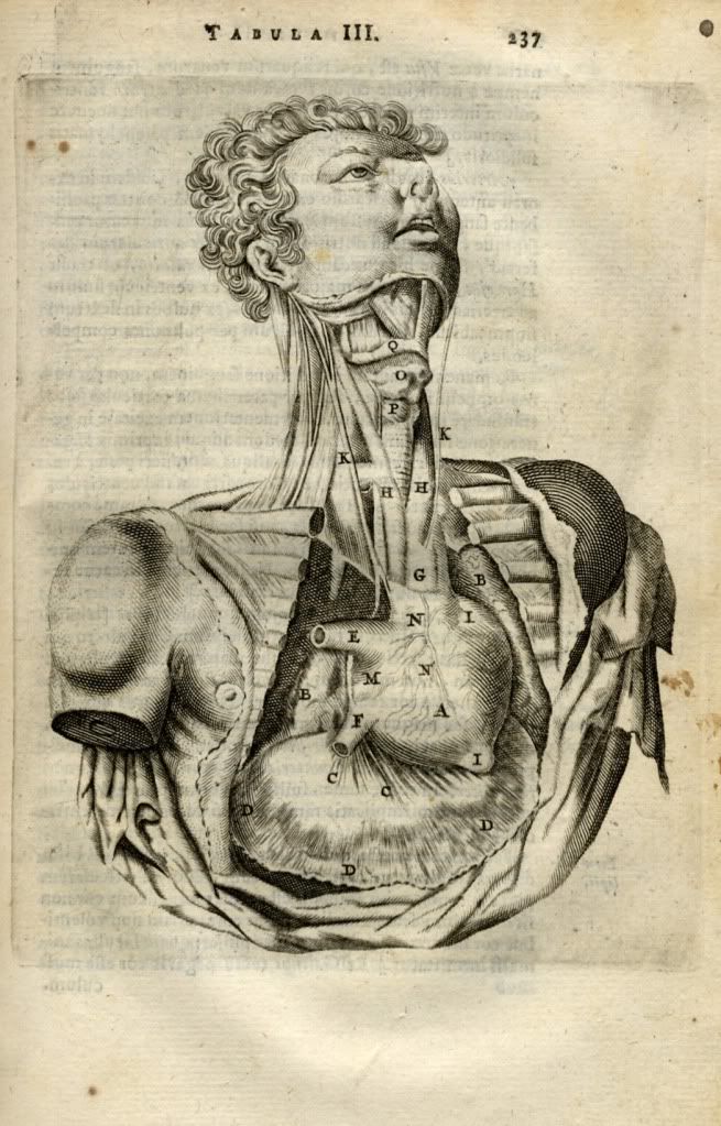 RARE and ANTIQUE BOOKS OF ANATOMY AND MEDICINE( XVI and XVII