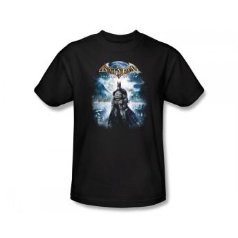 Batman Arkham Asylum Cover DC Comics Video Game T Shirt