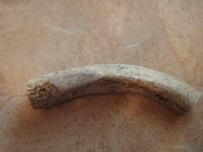 deer antler knife handle carved wolf tracks