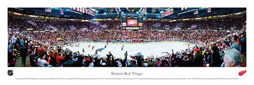 Detroit Red Wings JOE LOUIS ARENA GAME NIGHT Panoramic NHL Poster