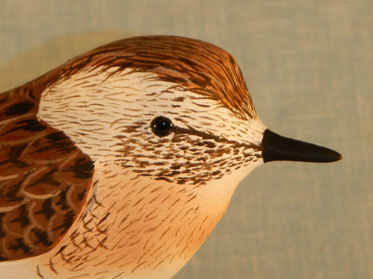  Sandpiper Shorebird Decoy Individually Hand Carved by Harold Van Dyck