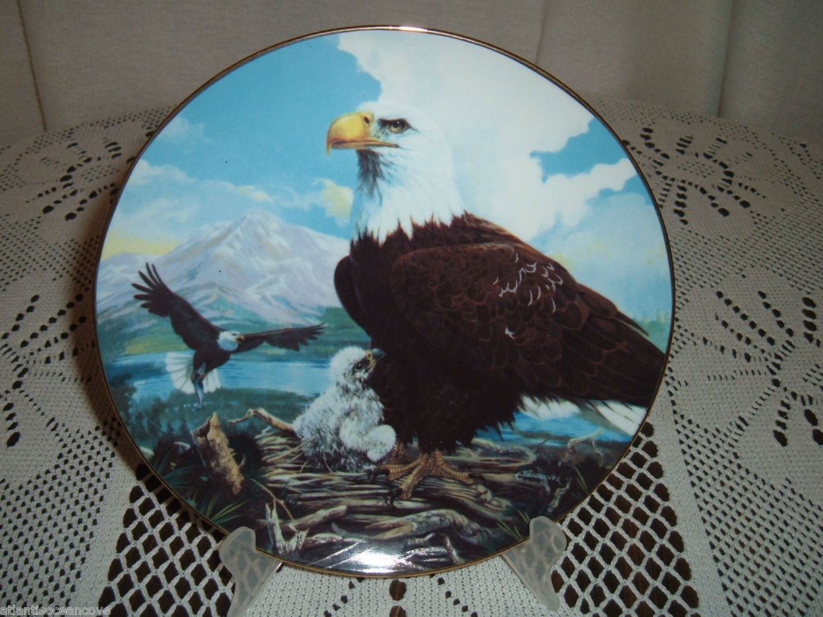 Fingerhut Collectors Case Series 1991 My Pride My Love No 31576 Eagle
