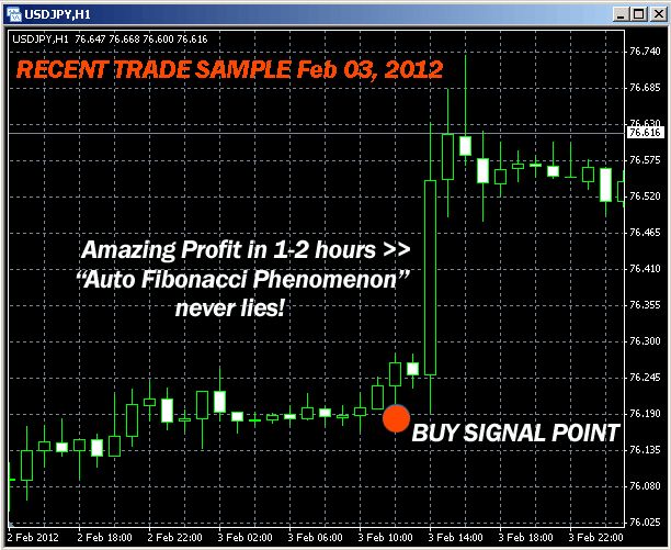 MINIMIZED RISK  Auto Fibonacci Phenomenon protects your equity