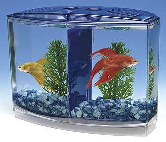 Double Betta Bow Front Kit Penn Plax Fish Tank BBT3