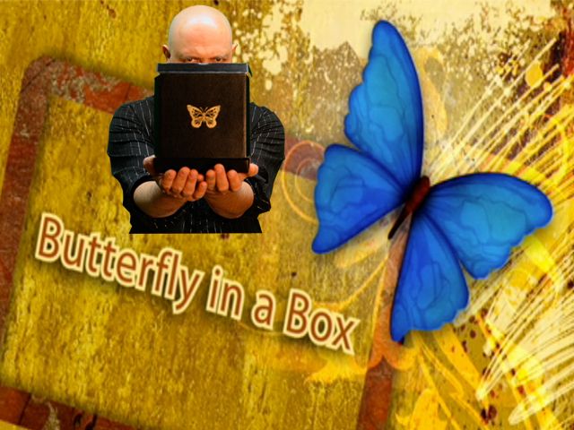 Butterfly in a Box