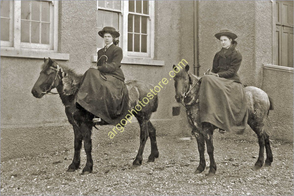 AH010 Woman Girl Horse Pony Riding Side Saddle Sidesaddle 1910s Photo