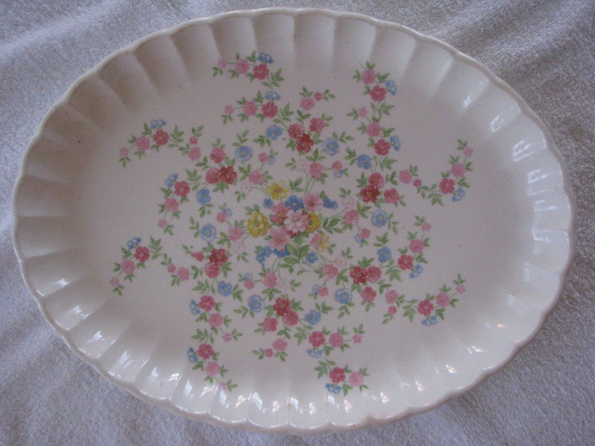 W S George Bolero Fresta China Oval Platter