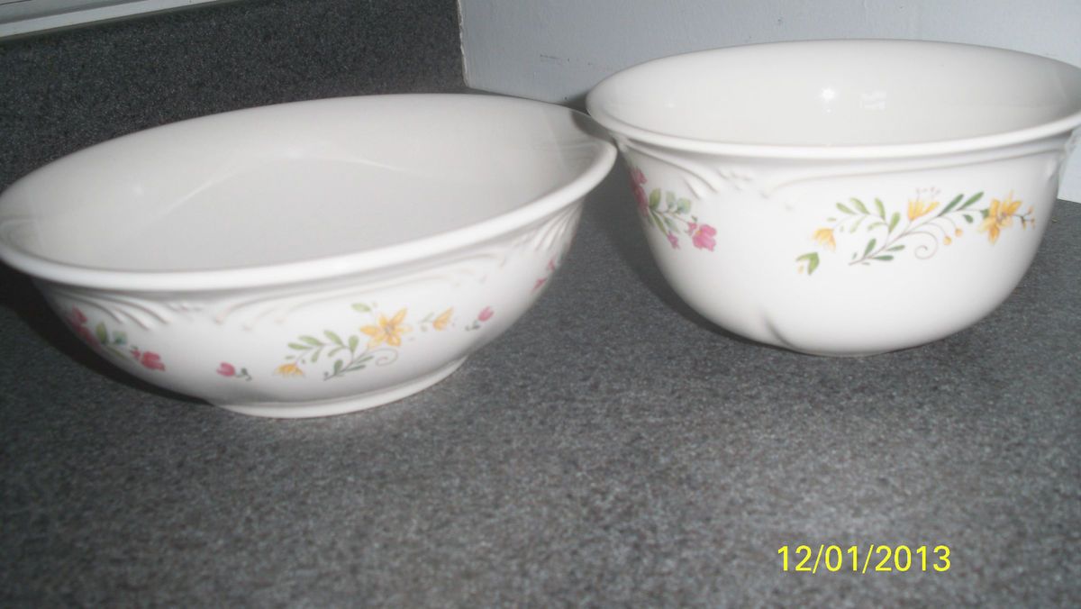 Pfaltzgraff Meadow Lane 2 Bowls Nice