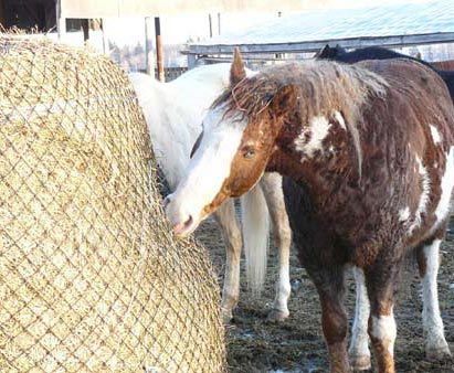 Large Mesh Hay Net Feeder Regular Round Bale 1 5