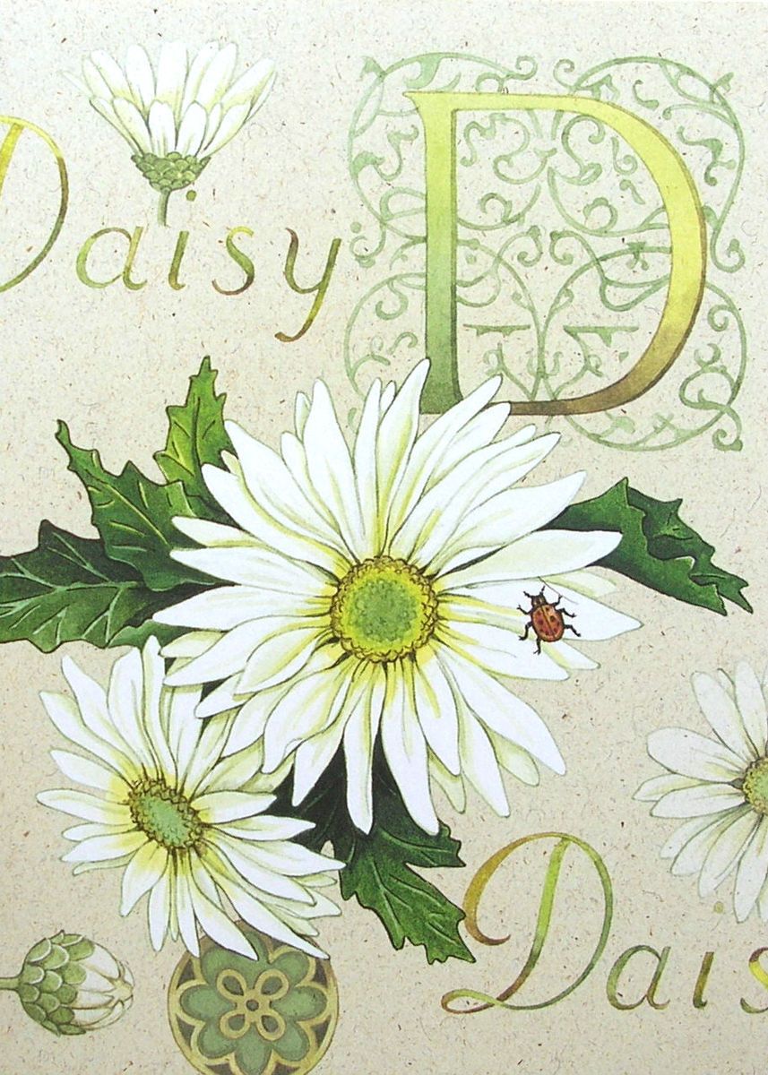 White Daisy Flower Ladybug Happy Birthday Greeting Card Current USA