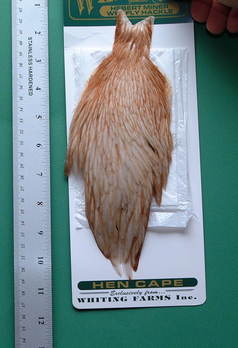 Whiting Hebert Hackle Medium Ginger Hen Cape 2435