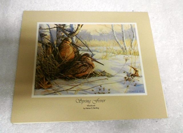 DUCKS UNLIMITED ARTIST Heiner Hertling Card Spring Fever Woodcock MI