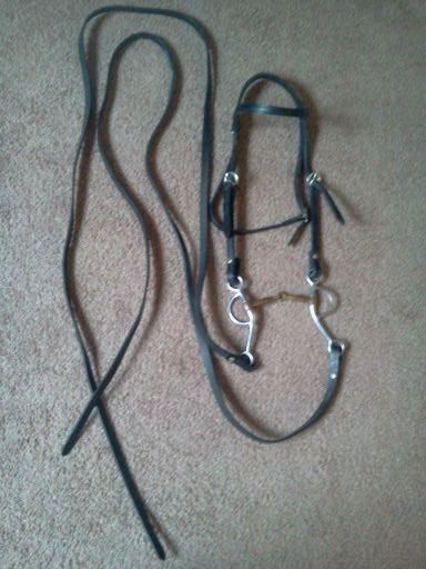 Black Leather Headstall with Reins and bit Horse Tack Bridle