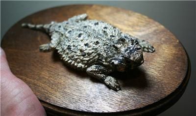 Texas Horny Toad Replica Mount Fiberglass TCU Fierce