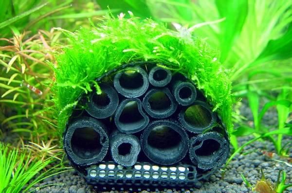 Japan Chikutan Aquarium Shelter Charcoal Large CRS