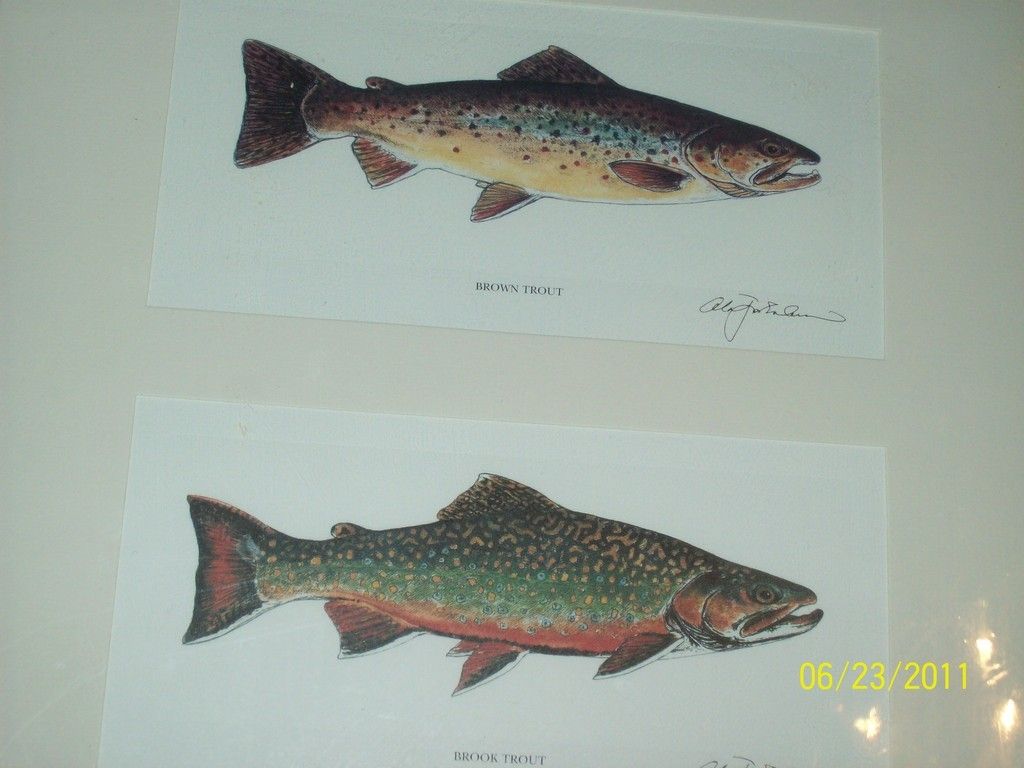 Alan James Robinson Brown Brook Trout Lithograph Art