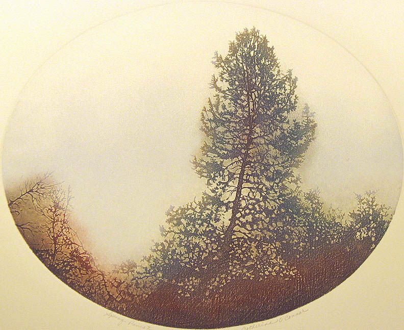 Catherine Ruane OConnor Spring Pines I Original Signed Etching on