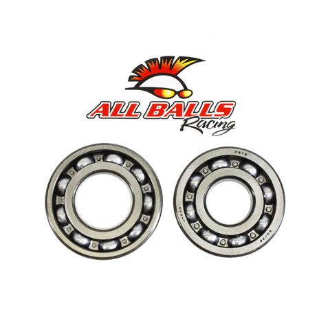 Suzuki DRZ125 DRZ125L Dr Z125 03 12 Main Crank Crankshaft Bearing Set