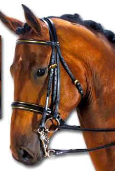 Kieffer Double Bridle Dressage Weymouth Bridle Horse Curb Bradoon