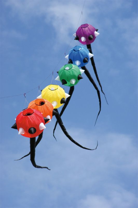 Spiked Tail Set of 6 Laundry Line Inflatable Windsock Kites
