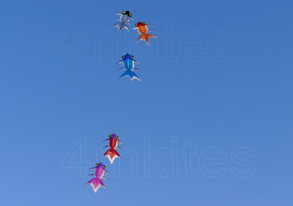 wholesale 5PCS goldfish kites/red /pink/gray/orange/blue/with flying