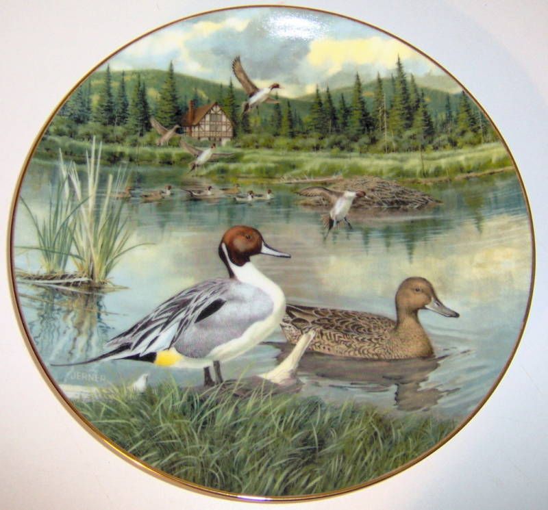 The Pintail Duck Collector Plate Nature Knowles 1st