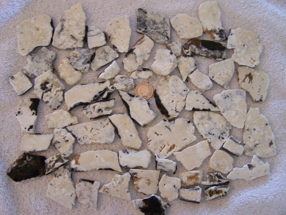 Pound White Buffalo Turquoise Natural Slabs Rough for Cabbing Cabs