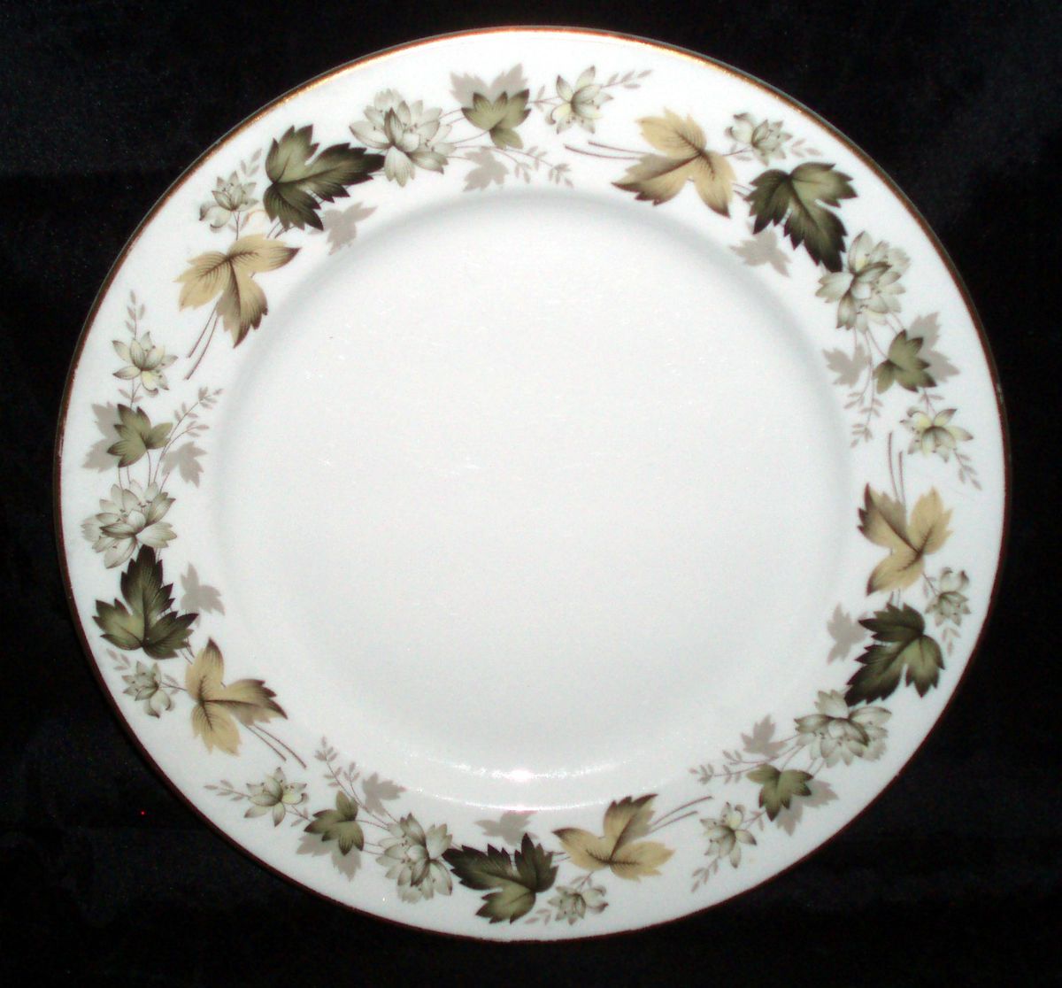Royal Doulton China Luncheon Plate 9 Larchmont T C 1019