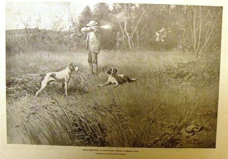 Leslies Weekly Litho 1894 Quail Shooting in Maryland