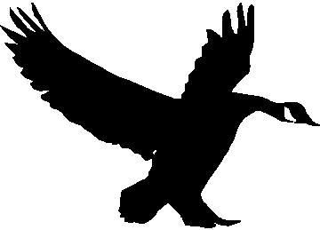 GOOSE Silhouette Landing Hunting Decal 5 x 3 5