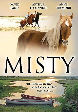 Misty DVD, 2008