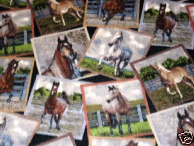 HORSE ARABIAN PAINT BRYER FLEECE BLANKET THROW PALOMINO hobby pony