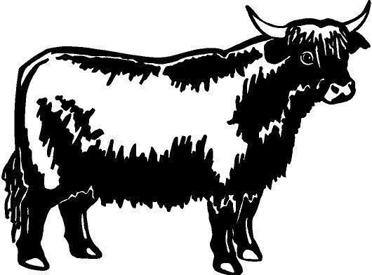 Highland Cow Vinyl Decal Car Truck Window Sticker