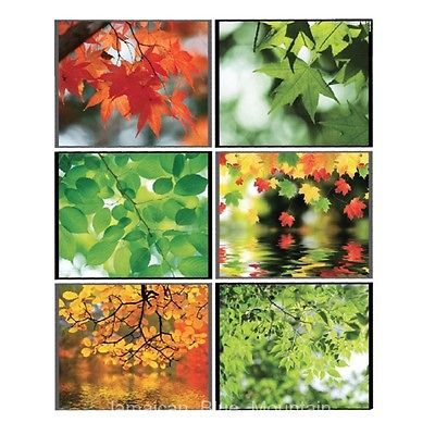 Autumn Forest Leaves PVC Wall Kitchen Cabinet Glass Doors Sticker