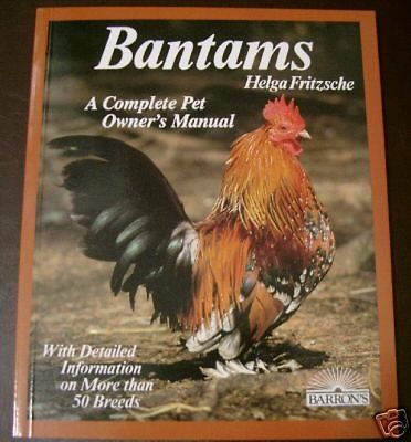 bantam eggs