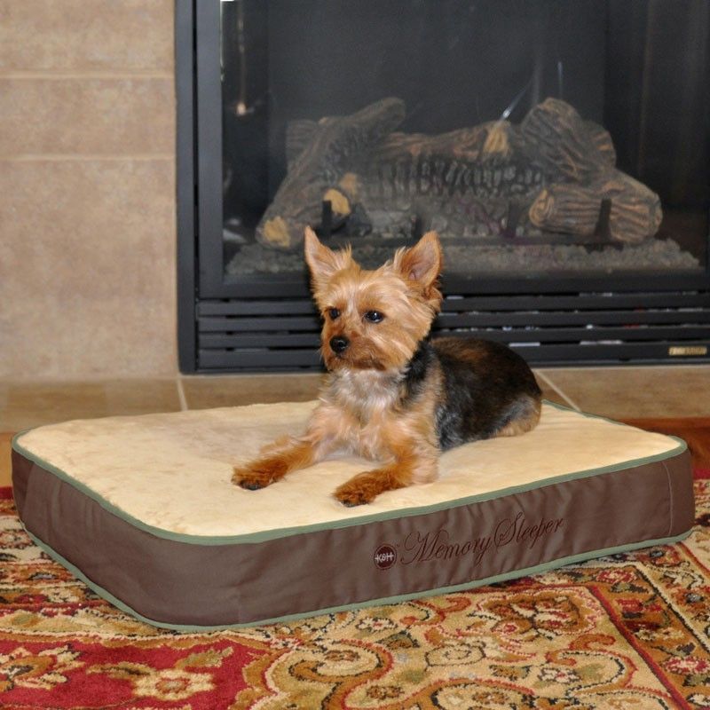 Orthopedic memory foam bed small dog Sleeper 18x26 mattress great for
