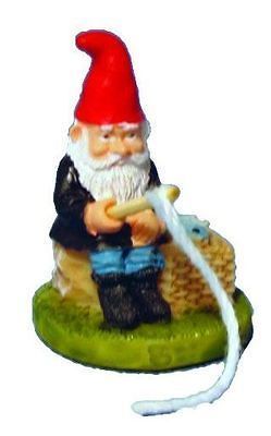 Dollhouse adorable fishing garden gnome