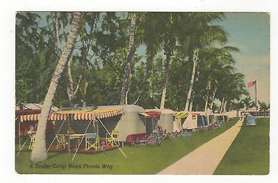 TRAILER CAMP DOWN FLORIDA WAY VINTAGE CAMPERS VINTAGE POSTCARD js