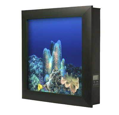 Large Rectangular Wall Aquarium in Silver