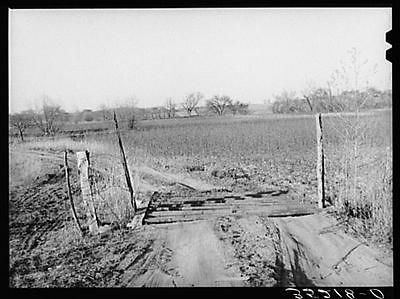 PhotoCattle guard. Creek County,Oklahom a