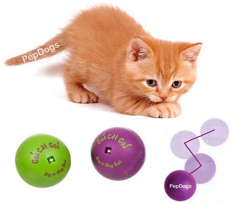 Our Pets ZIG N ZAG Go Cat Go Ball Cat Interactive Toy