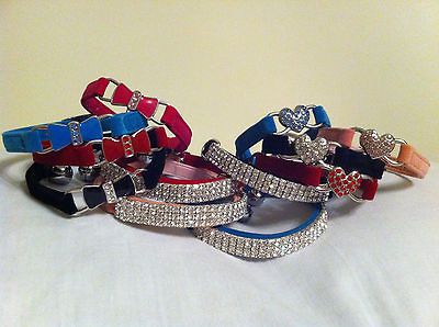 cat collars