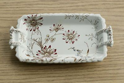 Davis Brown & White Ironstone Daisy Transfer Ware Butter Under