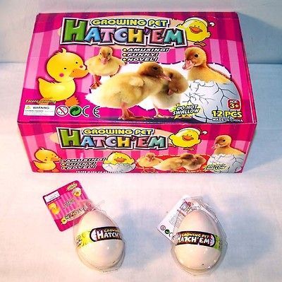 DUCK HATCHING EGGS chicken bird GROW magic trick EGG hatch toy ducks