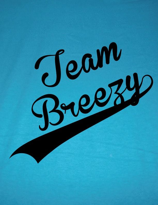 TEAM DRAKE CHRIS BROWN BREEZY FUNNY T SHIRT S M L XL CREW OR V NECK 5